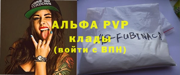 шишки Медвежьегорск